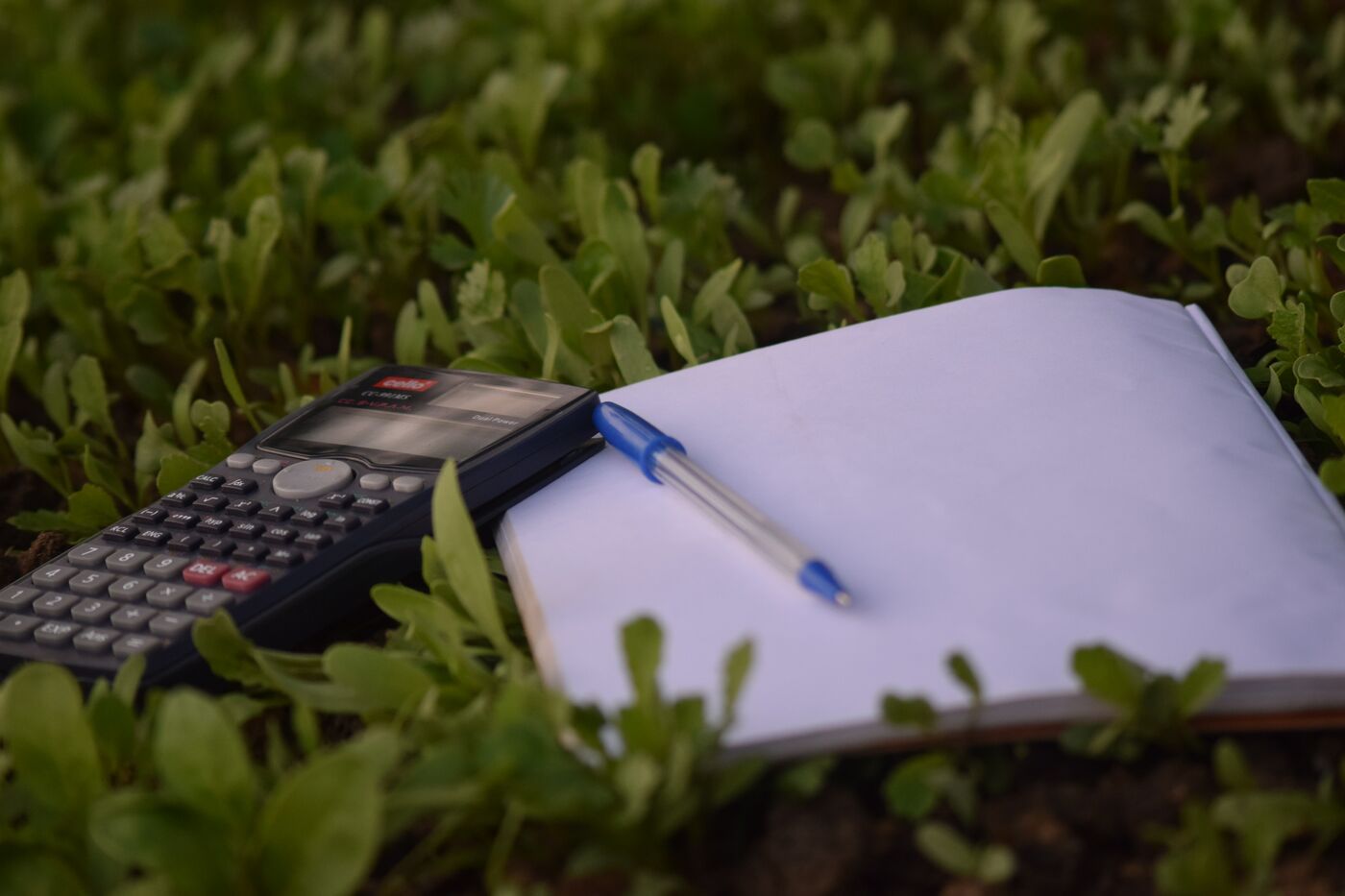 Ashraf-ali-1222985-unsplash